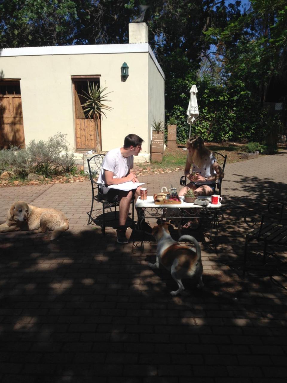 Artkaroo Stay Oudtshoorn Exterior photo